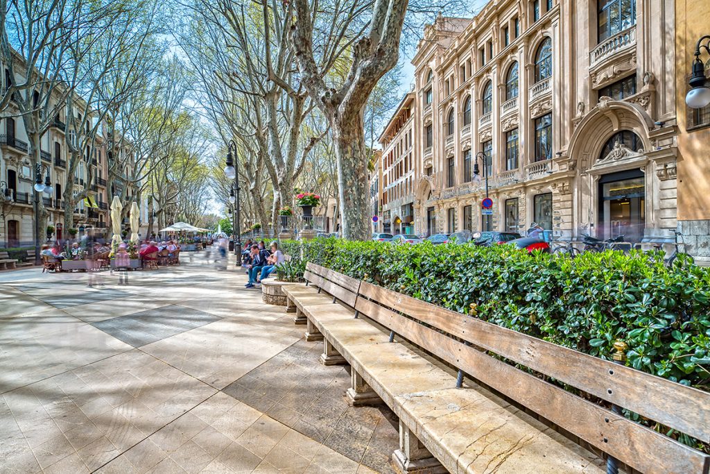 Passeig_Born